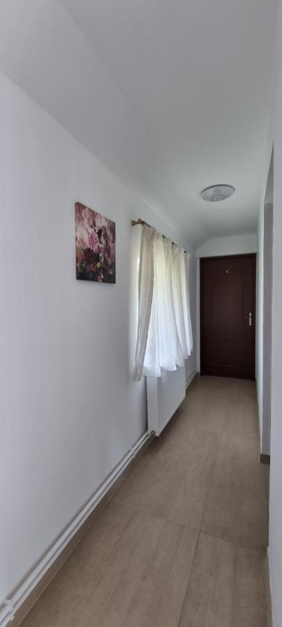 Cusali Pensiune Topolovatu Mare Exteriér fotografie